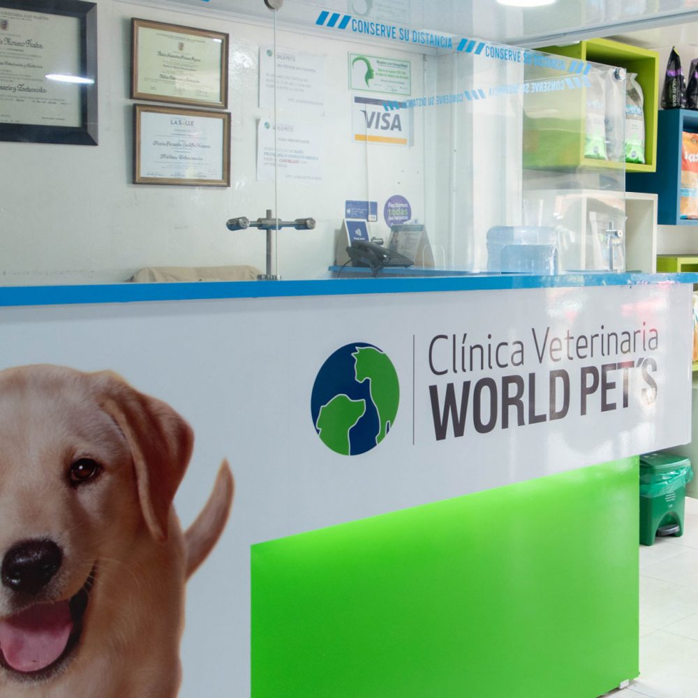clinica