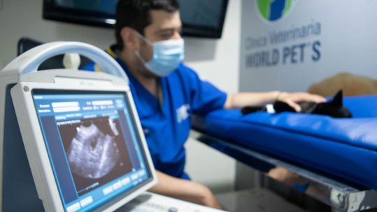 imagenologia3