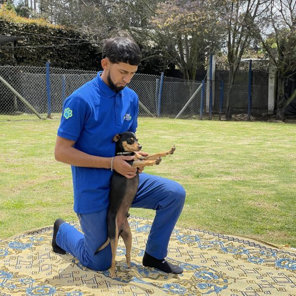 Doga