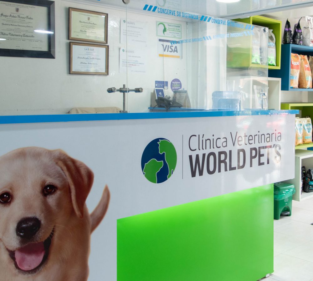 clinica